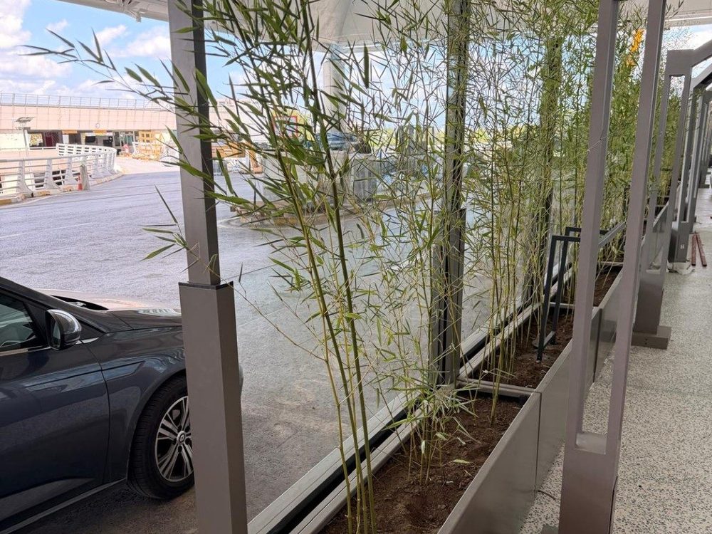 Glass windbreak screens with built-in planters and bamboo along the edge of an outdoor seating terrace